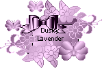 Dusky Lavender