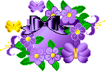 Viola Blossoms